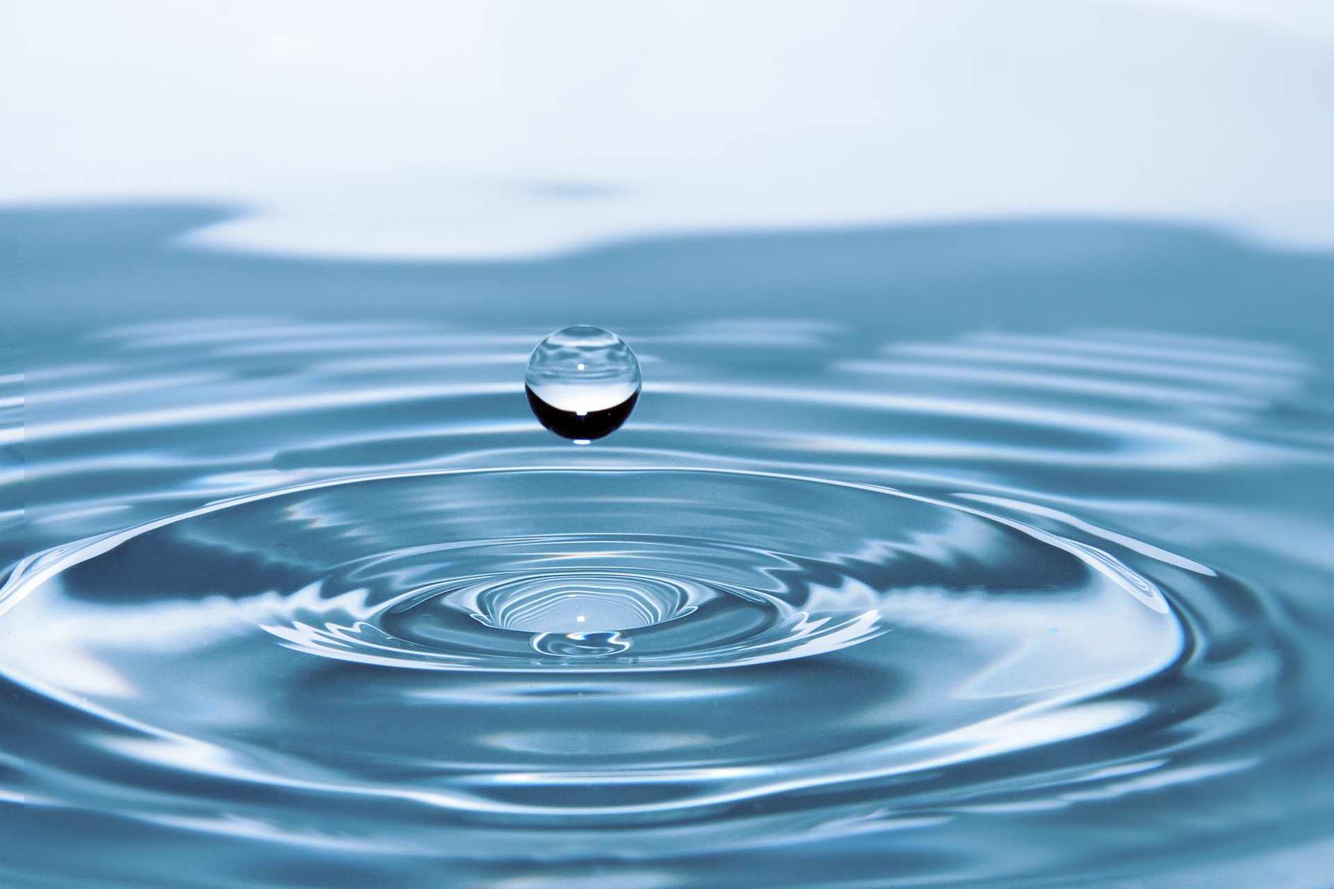 Water Parameters 101: Distilled Water and Hardness Effects